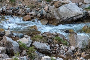 Naklejka na ściany i meble A mountain stream running through the stones.