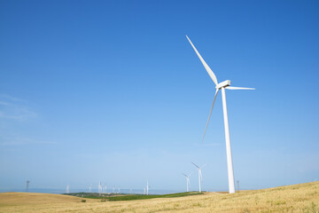 Fototapeta premium Sustainable wind energy