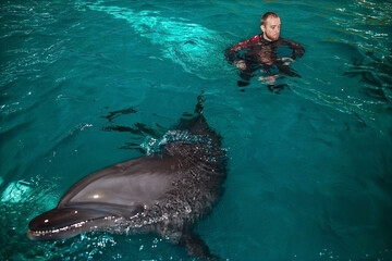 dolphin trainers train in the pool