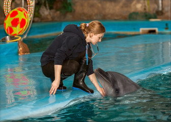dolphin trainers train in the pool