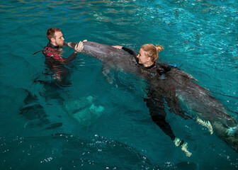 a guy and a girl trainers dolphin are engaged in a pool