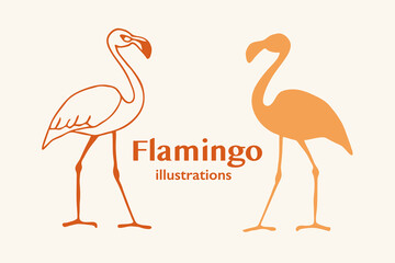 Flamingo vector illustration