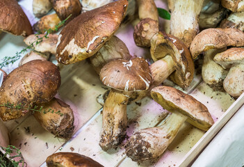 Wild edible porcini mushroom in the vegetable stand - close up