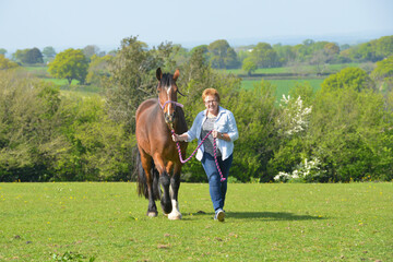 Woman leading her horse out of its paddock on a lovely summers day in rural Shropshire.