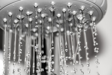  Drops of water fall down in the shower room. Many small jets of water dripping from the shower head.