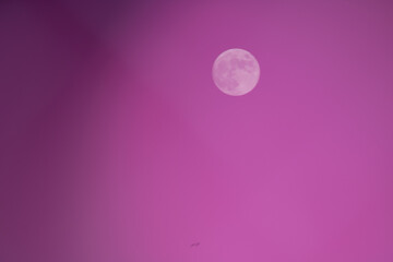 Full moon with pink background