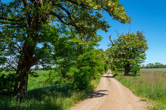 Wanderweg