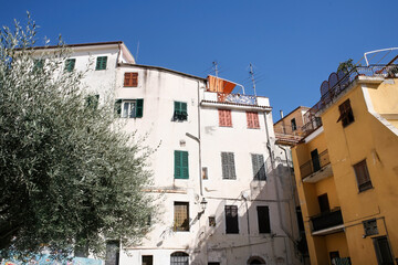 Fototapeta na wymiar Aged buildings and olive tree in Sanremo, Italy