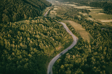 Summer landscape with green trees and narrow winding road, aerial view, outdoor travel background, vintage image