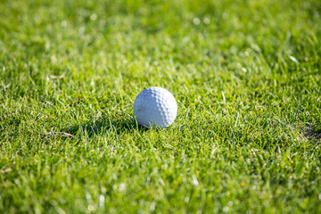 Golf ball lying on a golf course in the grass on a sunny day Golf concept. Place for text
