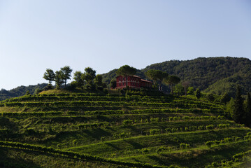 Fototapeta premium View of the hills of Prosecco vineyards in the Conegliano countryside