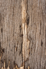 The texture of old wood is naturally aged with a beautiful pattern. Vertical orientation