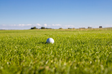 Golf ball lying on a golf course in the grass on a sunny day Golf concept. Place for text