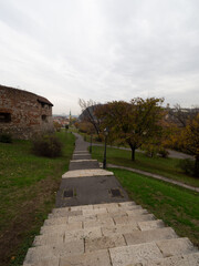 Il foliage con alberi e foglie gialle