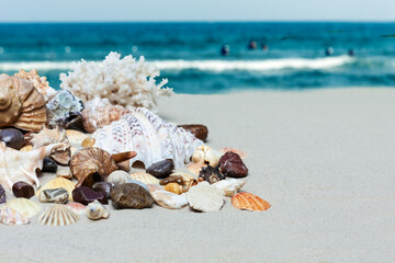 Obraz na płótnie Canvas Seashells, sea stars, coral and stones on the sand, summer beach sea background travel concept.
