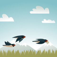 Flying barn swallow birds