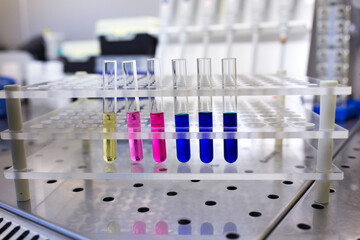 Test tubes on holder in laboratory