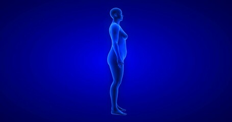 Weight loss body transformation - side view, woman theme. Blue Human Anatomy Body 3D Scan render