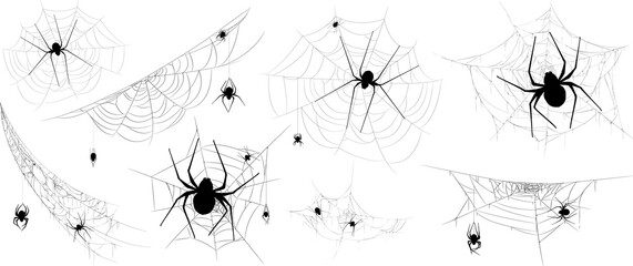 Collection of Spider, cobweb, isolated on black, transparent background. Spiderweb for Halloween design. Spider web elements,spooky, scary, horror halloween decor. Hand drawn silhouette, vector illust