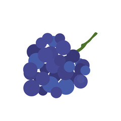 Grape Icon Vector Illustration Background