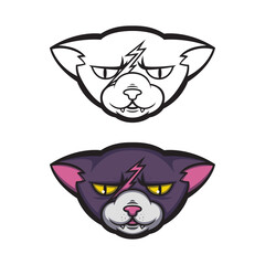 Angry cat with a scar on his forehead. Grumpy pussycat. Vector illustration for logo, t-shirt print design.