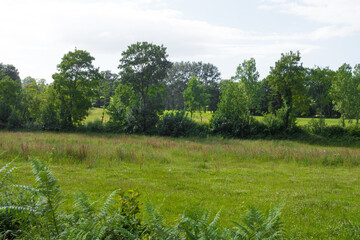 Beautiful norman countryside during the spring season on a sunny day. Green foliage. Luxurious peaceful verdant nature. Gorgeous landscape. Normandy, France.