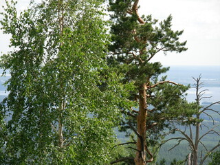 ural
