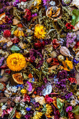 Fototapeta na wymiar A colorful closeup of dried flowers, dried oranges, fragrant herb leaves, and seedpods used as flower confetti or potpourri
