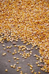 Corn lies on the floor in the store