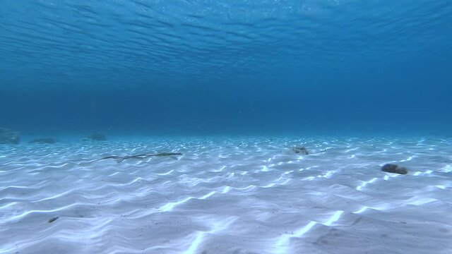 Non &egrave; una novit&agrave;, la Sardegna ha alcune tra le spiagge e i fondali marini pi&ugrave; belli al mondo, senza considerare poi il mare, che assume davvero cinquanta sfumature di blu.