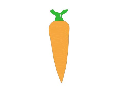 Painting an orange carrot with green petiole