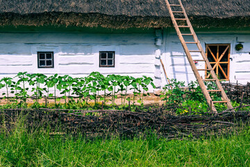 Traditional village in Poland. Open Air Museum. Wooden houses. Wooden folk architecture from different areas of the Lublin Voivodeship. Poland © Curioso.Photography