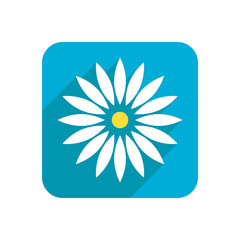 Flower. Flat icon, object isolated on white background. Illustration for design, logo.