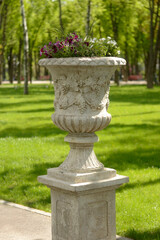 flower pot in the park