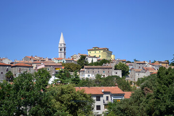 Naklejka premium View of the town. City landscape , urban architecture, old town.