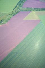 detection of crop sprouting drones