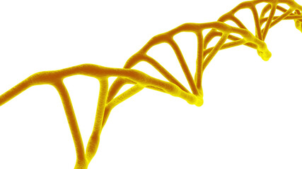 This scene viewed under a microscope the molecules DNA on a the White Isolated Background. The Concept molecular biology and biotechnology, Deoxyribonucleic acid genomes. 3D rendering & Illustration.