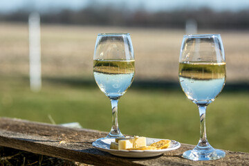 Wine and cheese on a plank in the country