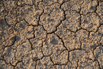 Closeup texture of dried earth in the sun.