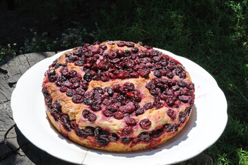 homemade cherry pie on a white dish