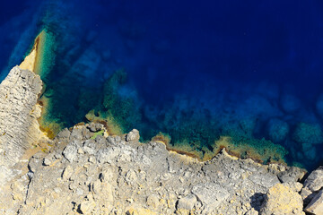 coral reef in the sea