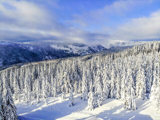 Fototapeta na wymiar Landscape with snow, mountain