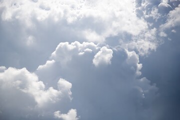 Obraz premium Gray and white fluffy clouds in the pale sky. Beautiful sky