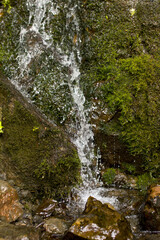 Crystal clear clear water flowing in the spring.