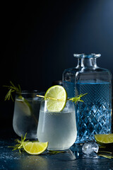 Gin tonic with rosemary and lime in frosted glass.