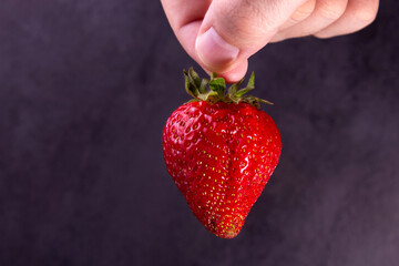 Man holds hanging large strawberry on a dark background