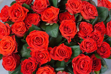 Natural red roses background close up texture