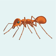 ant