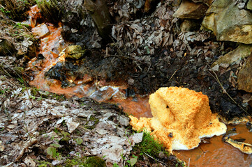 Water pollution of a copper mine exploitation