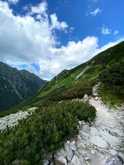 Fototapeta na wymiar path in the Mountain 